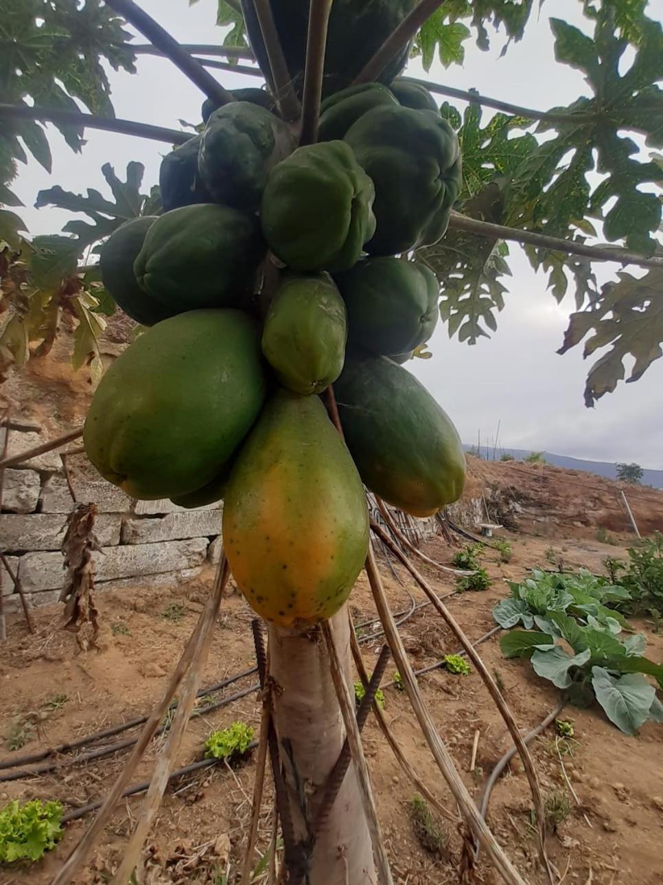 Finca De Luna La Orotava Zewnętrze zdjęcie