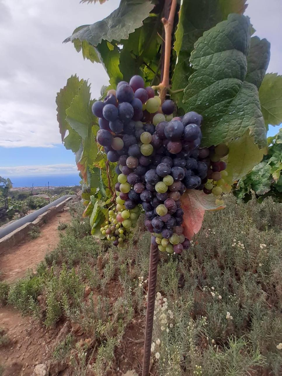 Finca De Luna La Orotava Zewnętrze zdjęcie