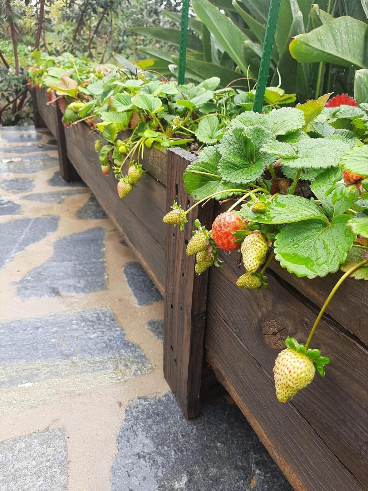 Finca De Luna La Orotava Zewnętrze zdjęcie